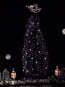 Albritton Christmas tree