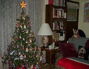 Our living room/library at Christmas