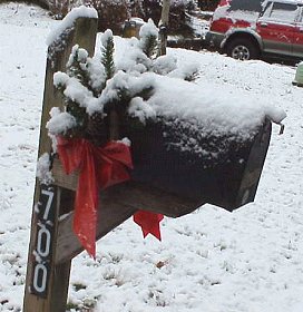 Mailbox covered in snow