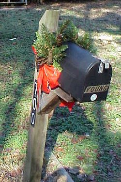 Mailbox trimmed in pine and bow