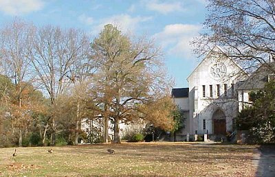 The Monastery church with geese grazing in front