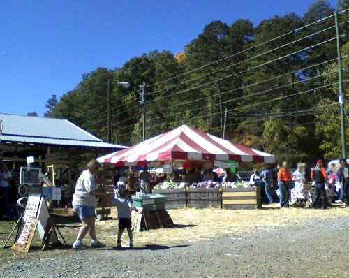 The apple tent